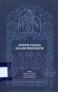 Hukum pidana dalam perspektif