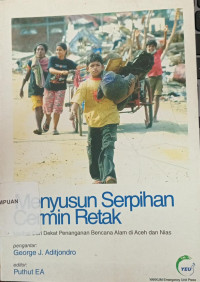 Menyusun serpihan cermin retak : melihat dari dekat penanganan bencana alam di Aceh dan Nias
