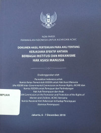 Dokumen Hasil Pertemuan Para Ahli Tentang Kerja Sama Efektif Antara Berbagai Institusi dan Mekanisme HAM
