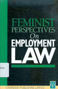 Feminist perspectives on employment law