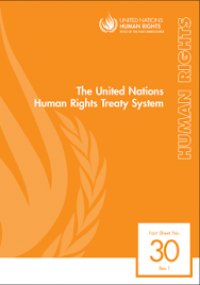 The united nations human right treaty system: an introduction to the core human rights treaties and the treaty bodies fact sheet no. 30