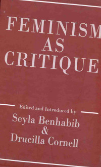 Feminism as Critique