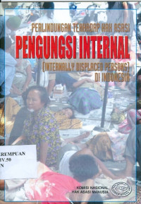 Perlindungan terhadap hak asasi pengungsi internal (internally displaced persons) di Indonesia