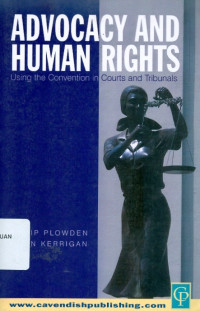 Image of Advocacy and human rights: using the convention in courts and tribunals