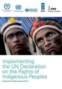 Implementing The UN Declaration On The Rights Of Indigenous Peoples